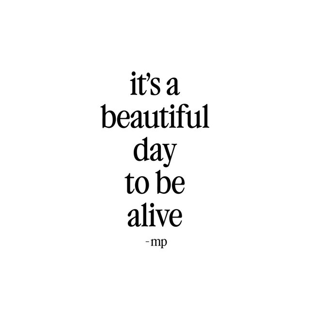 Cover MIKE POSNER - BEAUTIFUL DAY